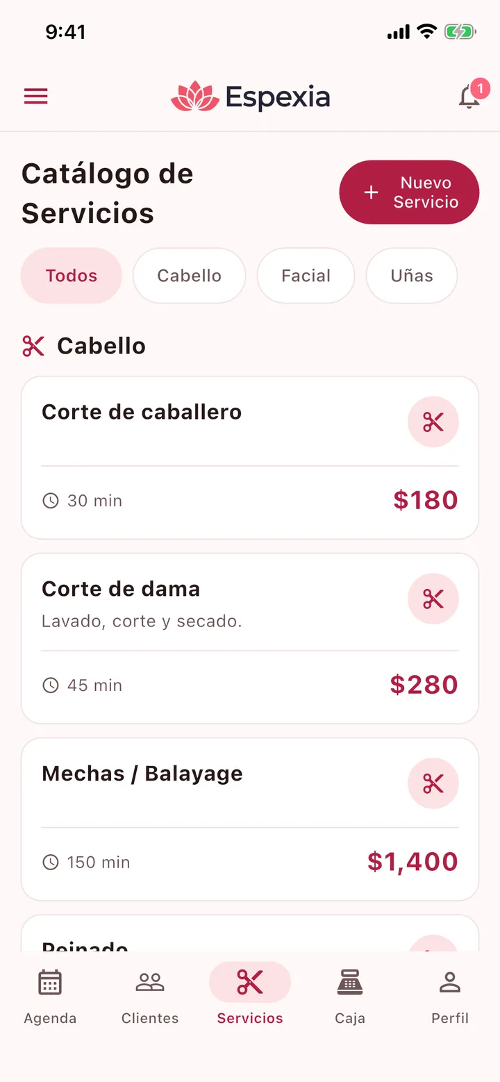 Catálogo de servicios por categoría